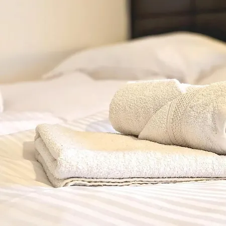 Go2Cozy Apartments - Quiet Central Studio, Free Parking Apartment